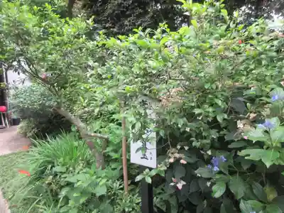 円覚寺(神奈川県)
