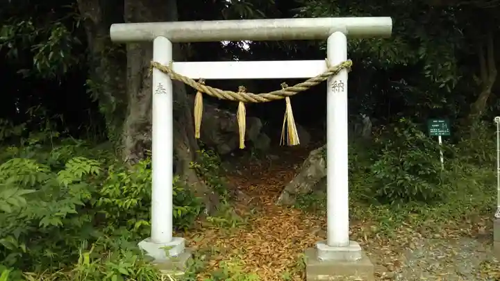 神社(名称不明)の鳥居