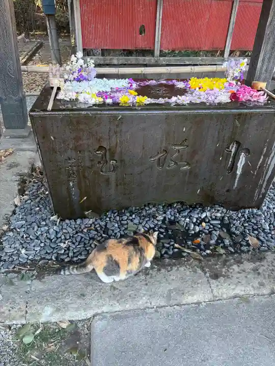 前玉神社(埼玉県)