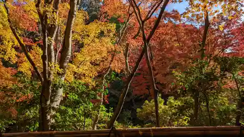 来迎院(京都府)