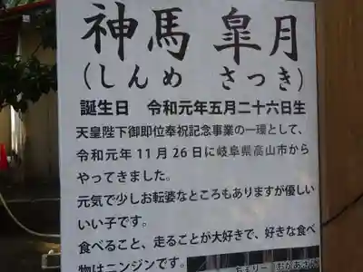 平塚八幡宮のその他建物