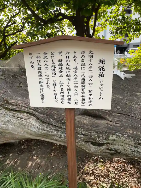 瀬戸神社の歴史