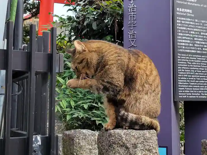 末多武利神社の動物