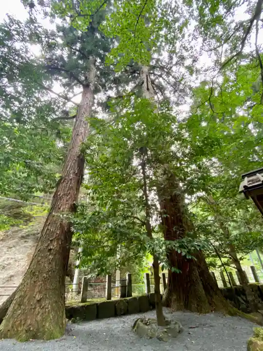 大神宮社(京都府)