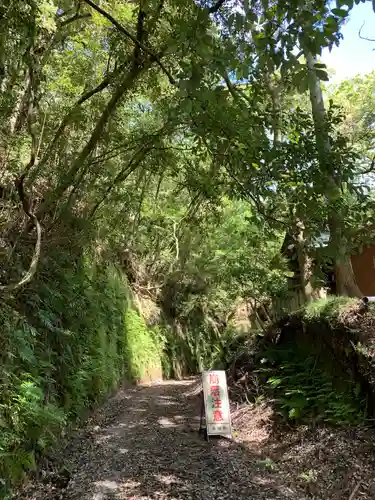 熊野神社の自然