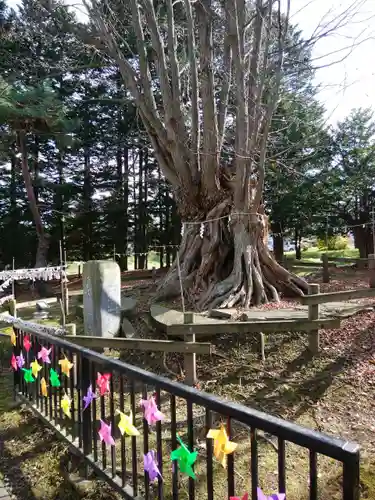 美幌神社の自然