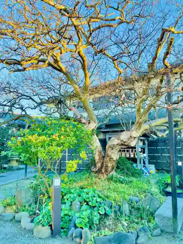 補陀洛寺(神奈川県)