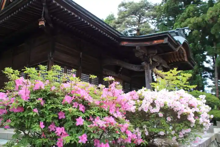 豊景神社の自然