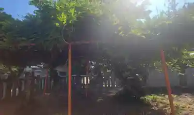 五色濱神社(愛媛県)