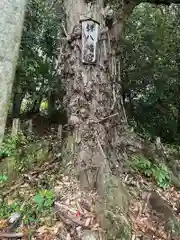 鎌八幡宮(和歌山県)