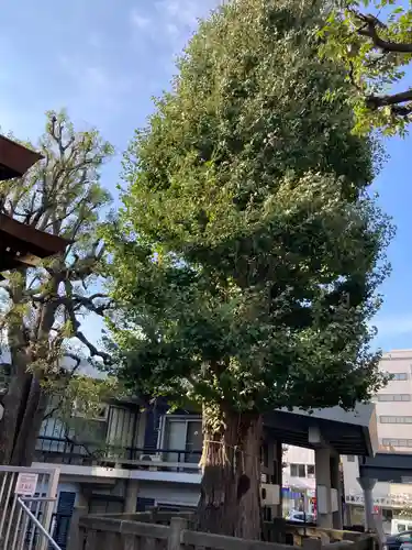大鳥神社(東京都)