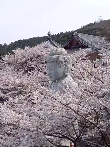 南法華寺（壷阪寺）の仏像