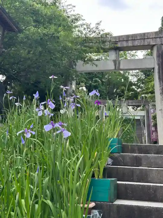 宮地嶽神社(福岡県)