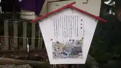 別小江神社の歴史