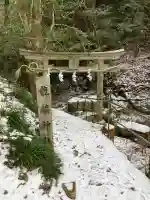 龍鎮神社の{uncategorized: "未分類", other: "その他", undefined: "問題あり", building: "その他建物", grave: "お墓", sacred_gate: "鳥居", guardian: "狛犬", statue: "像", buddha: "仏像", history: "歴史", nature: "自然", garden: "庭園", animal: "動物", pagoda: "塔", temizu: "手水舎", mountain_gate: "山門・神門", sanctuary: "本殿・本堂", subordinate: "末社・摂社", art: "芸術", scenery: "景色", jizo: "地蔵", ema: "絵馬", goshuin: "御朱印", omikuji: "おみくじ", items: "授与品その他", amulet: "お守り", goshuincho: "御朱印帳", eats: "食事", festival: "お祭り", votive_dance: "神楽", shichigosan: "七五三参", wedding: "結婚式", experience: "体験その他", initially: "初詣", around: "周辺", anti_infection: "感染症対策"}