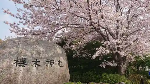 櫻木神社の自然