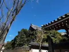 阿佐ヶ谷神明宮(東京都)