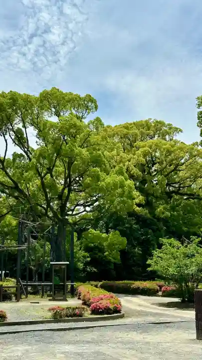 石清水八幡宮(京都府)