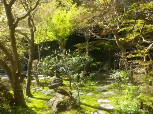 覚園寺の庭園