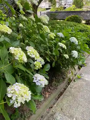 吉備津神社(岡山県)