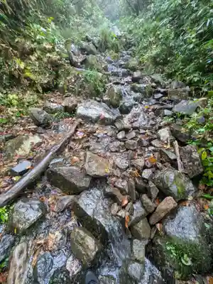 戸隠神社奥社の自然