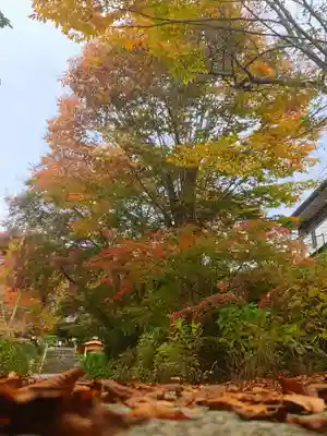 陽林寺(福島県)