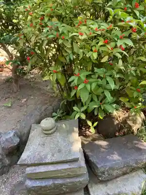 円蔵寺(神奈川県)
