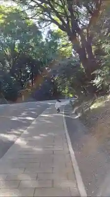 明治神宮のその他建物