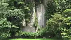 大野寺の自然