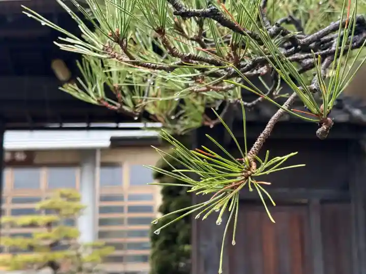 西方山極楽寺(岐阜県)