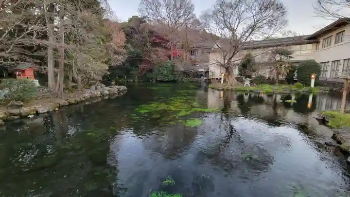 富士山本宮浅間大社(静岡県)