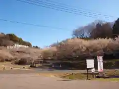 壽命院 永徳寺(栃木県)