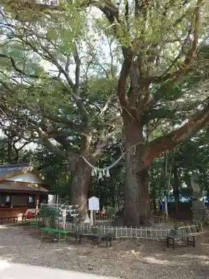 大津日吉神社(熊本県)
