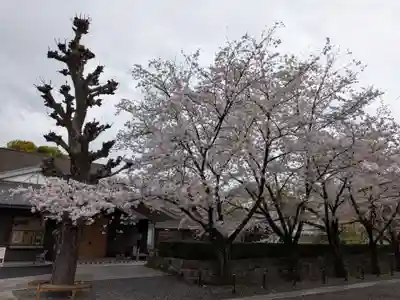 宝仙寺(東京都)