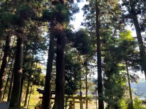 大宮温泉神社(栃木県)