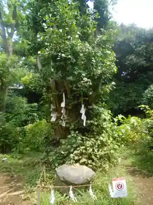 江島神社のその他建物