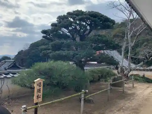 西国寺(広島県)