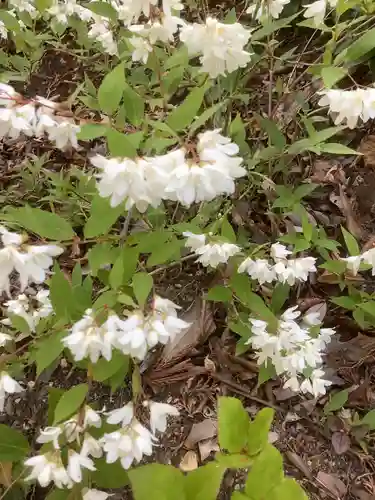 玉野御嶽神社の自然