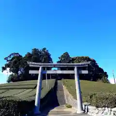 天王神社の鳥居