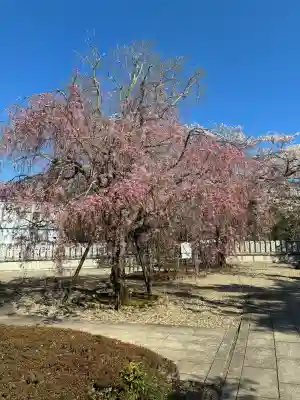 成田山新勝寺の{uncategorized: "未分類", other: "その他", undefined: "問題あり", building: "その他建物", grave: "お墓", sacred_gate: "鳥居", guardian: "狛犬", statue: "像", buddha: "仏像", history: "歴史", nature: "自然", garden: "庭園", animal: "動物", pagoda: "塔", temizu: "手水舎", mountain_gate: "山門・神門", sanctuary: "本殿・本堂", subordinate: "末社・摂社", art: "芸術", scenery: "景色", jizo: "地蔵", ema: "絵馬", goshuin: "御朱印", omikuji: "おみくじ", items: "授与品その他", amulet: "お守り", goshuincho: "御朱印帳", eats: "食事", festival: "お祭り", votive_dance: "神楽", shichigosan: "七五三参", wedding: "結婚式", experience: "体験その他", initially: "初詣", around: "周辺", anti_infection: "感染症対策"}