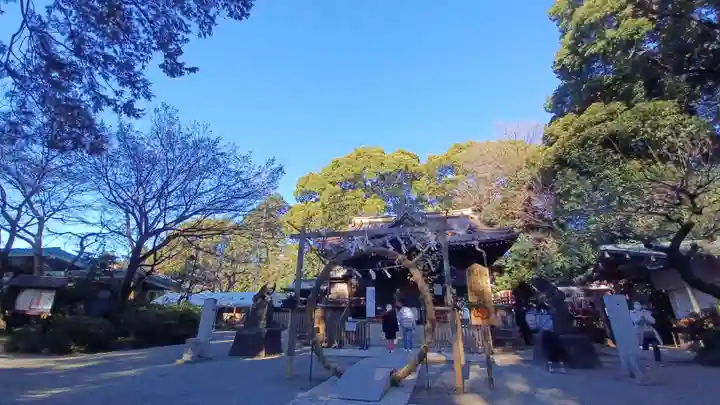代々木八幡宮の本殿・本堂