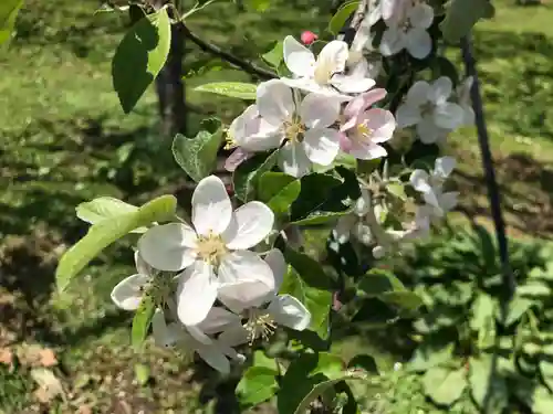 岩木山神社の自然