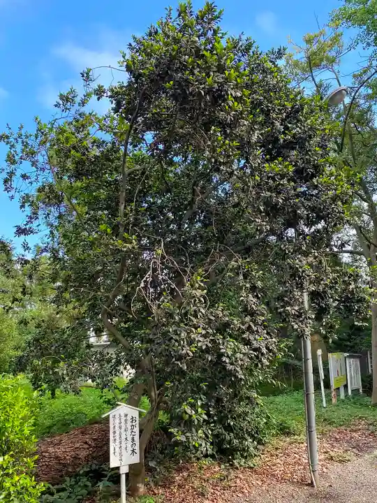 島穴神社の自然