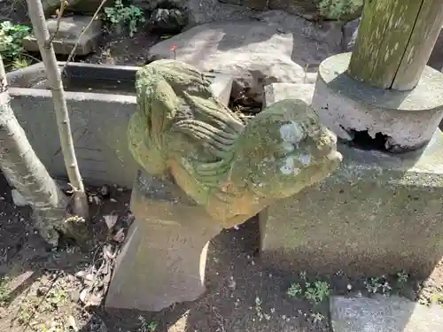 神明社の狛犬