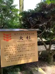 極楽寺の建物その他