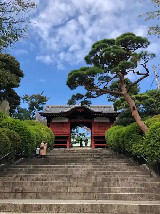 護国寺の山門・神門