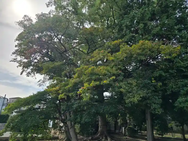 丹比神社(大阪府)