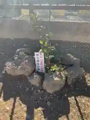 八雲神社の建物その他