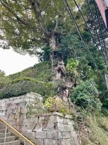長壽寺（長寿寺）(神奈川県)