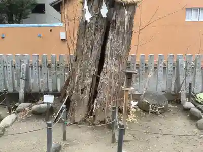 松原神社(愛知県)